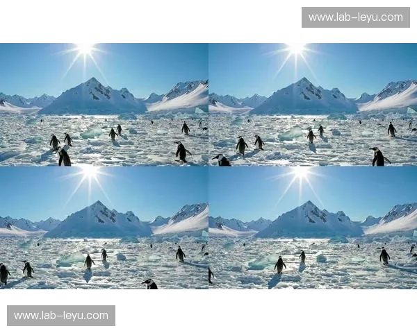 冰原意志与星辰之光的巅峰对决：企鹅VS星队，谁将主宰下一个纪元？